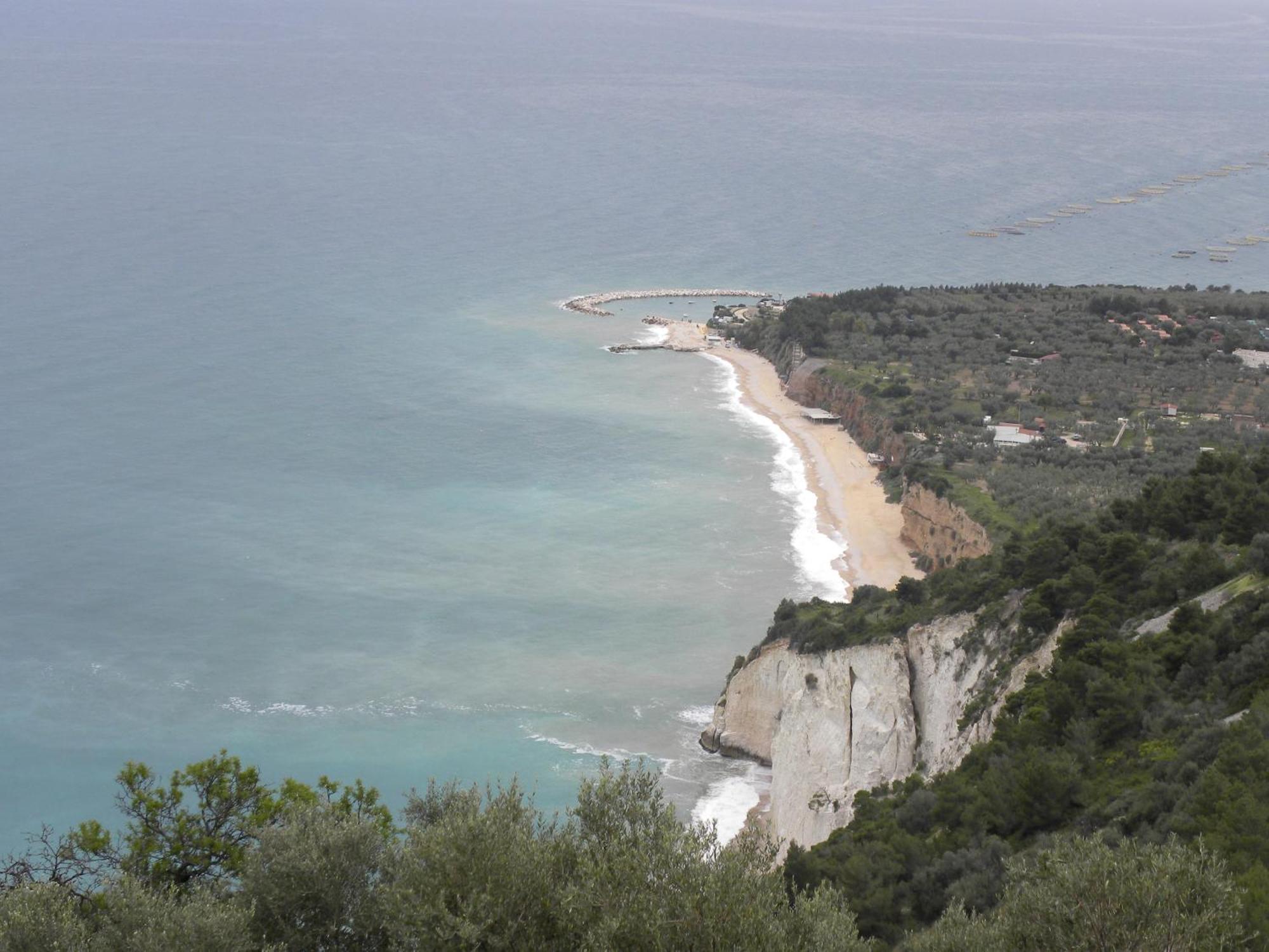 Pensione San Michele Mattinata Szoba fotó
